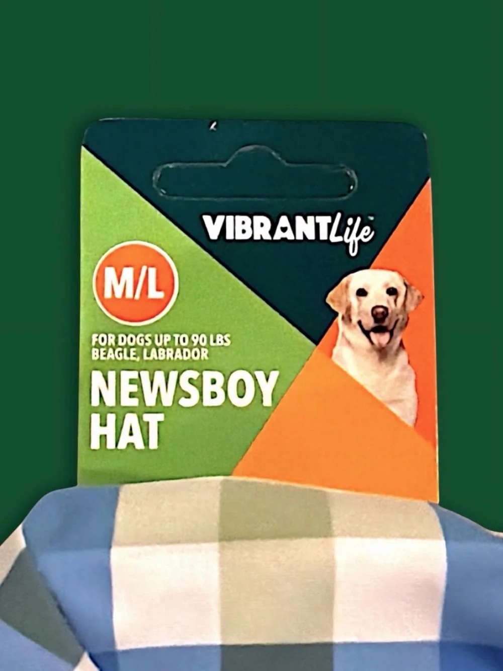 Vibrant Life Plaid Newsboy Hat